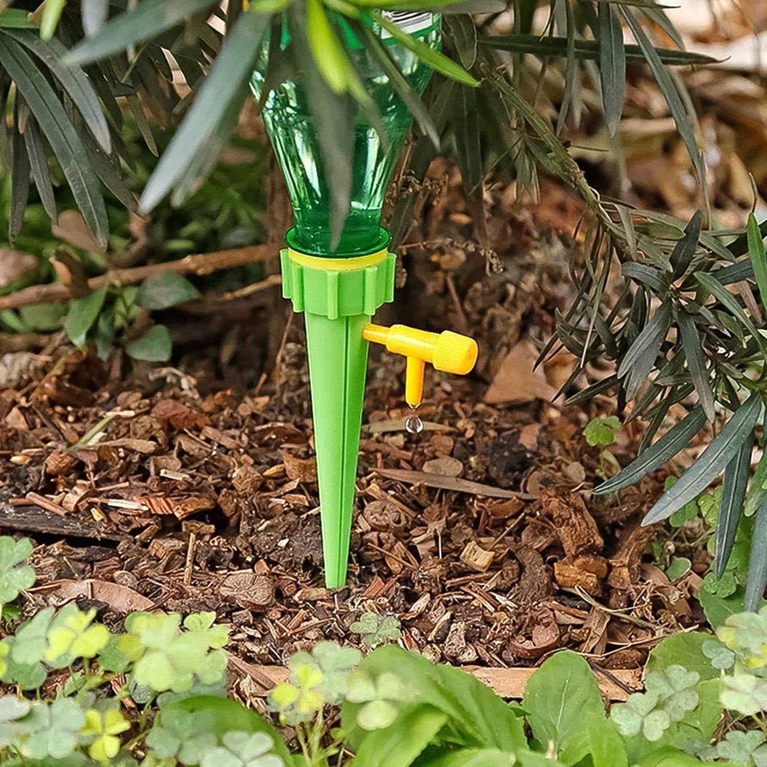 Plant Rooter Green